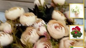 انواع بوته گل مصنوعی پیونی کرم رنگ | فروشگاه ملی