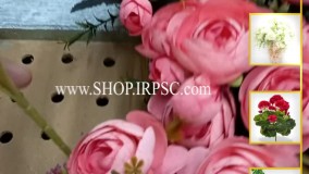 انواع بوته گل مصنوعی پیونی | فروشگاه ملی
