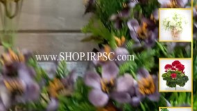 انواع بوته گل مصنوعی بنفش لیندا | فروشگاه ملی