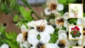 انواع  بوته گل مصنوعی سفید| فروشگاه ملی
