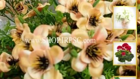انواع بوته گل مصنوعی گلبهی رنگ زیبا | فروشگاه ملی