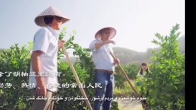 آشنایی فیلم سازان مستند ایرانی با داستان یک میوه در یک شهر کوچک چین