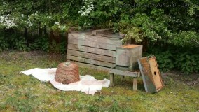 زنبورداری رایگان- زنبورداری مدرن-بازرسی کندو مرکزی بعد ازنصب
