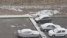 تصاویری دل انگیز از بارش شدید برف در تهران