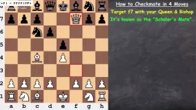 شطرنج-فیلم آموزش شطرنج حرفه ای-دوازده اصول برتر شطرنج