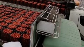 علت گرانی گوجه‌ فرنگی مشخص شد !