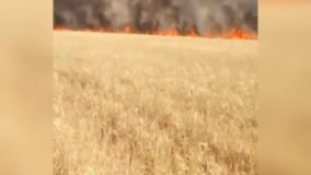 آتش سوزی گسترده در مزارع کشاورزی ایذه