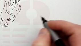 نقاشی کودکان-آسان ترین آموزش نقاشی به کودکان-نقاشی طوطی سخنگو