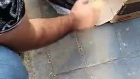 ویدئویی دردناک از رها کردن نوزاد در سطل زباله