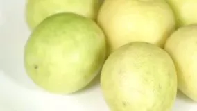 دستگاه خشک کن لیمو عمانی