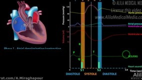 انیمیشن جالب چرخه قلبی! 09044686613 تدریس زیست