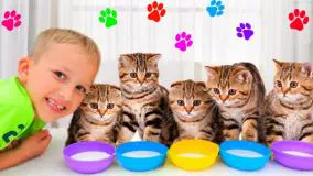 ماجراهای ولاد و نیکی - بازی با بچه گربه ها