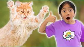 ماجراهای رایان - حقایق گربه برای بچه ها