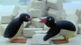 انیمیشن پنگوئن ها