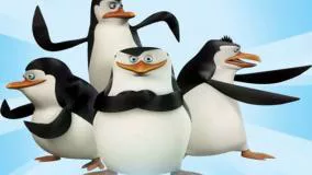 پنگوئن های ماداگاسکار - فصل 1 قسمت 1