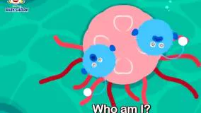 انیمیشن بی بی شارک - بازی با بچه کوسه و حیوانات دریایی