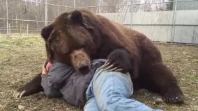 وقتی بهترین دوستت یه خرس 🐻...