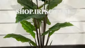 انواع درختچه مصنوعی آلوکازیا درجه یک لمسی مدل 13 برگ پخش از فروشگاه ملی